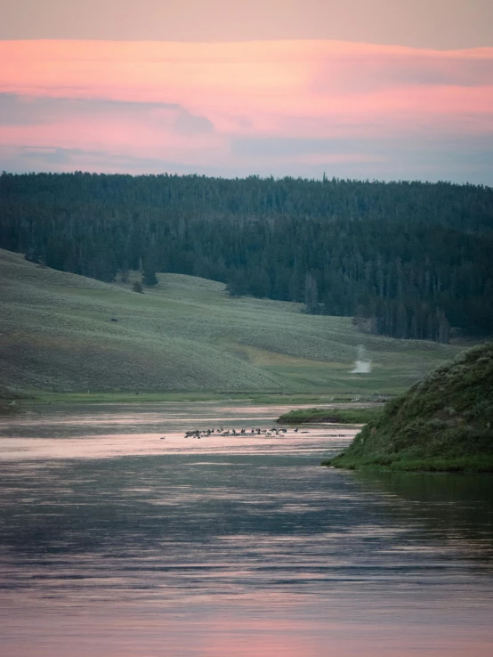 a body of water with animals grazing on a hill in the distance