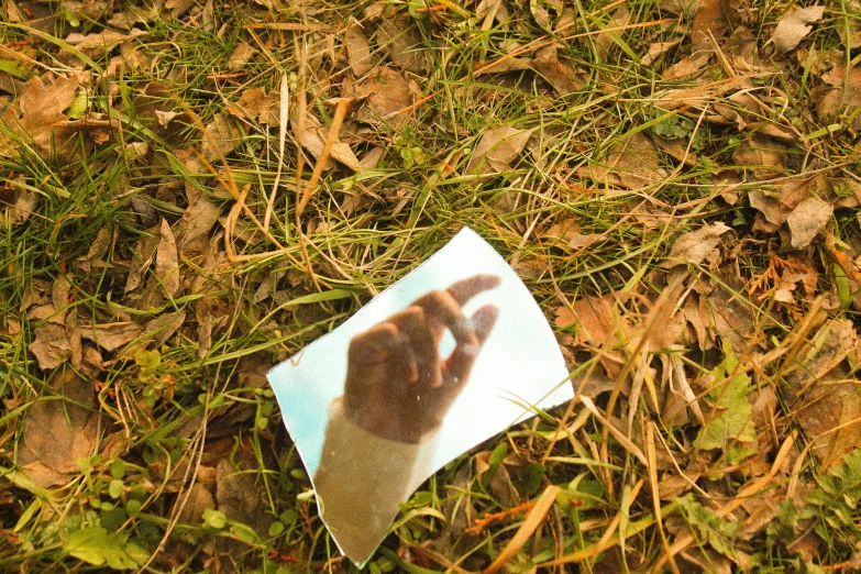 a handprint on a napkin is lying in the grass