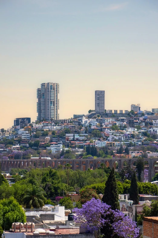 a city skyline with high rise buildings behind it