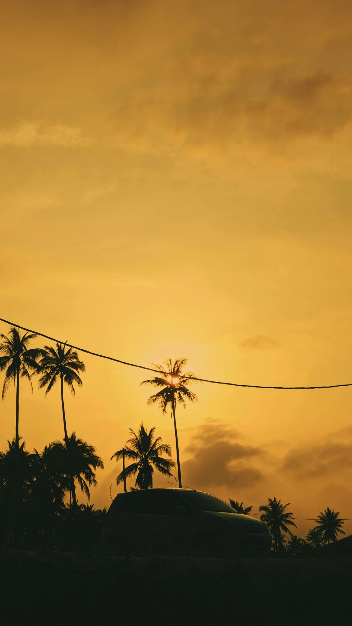the sun sets behind a line of palm trees