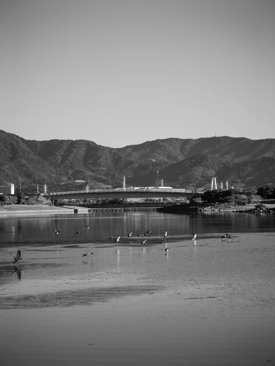 black and white pograph of the sea shore and mountains in the background