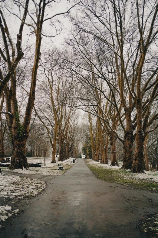 a narrow paved road has no trees on either side