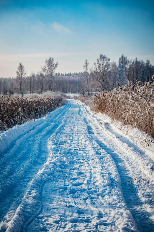 a long snowy road surrounded by snow covered grass