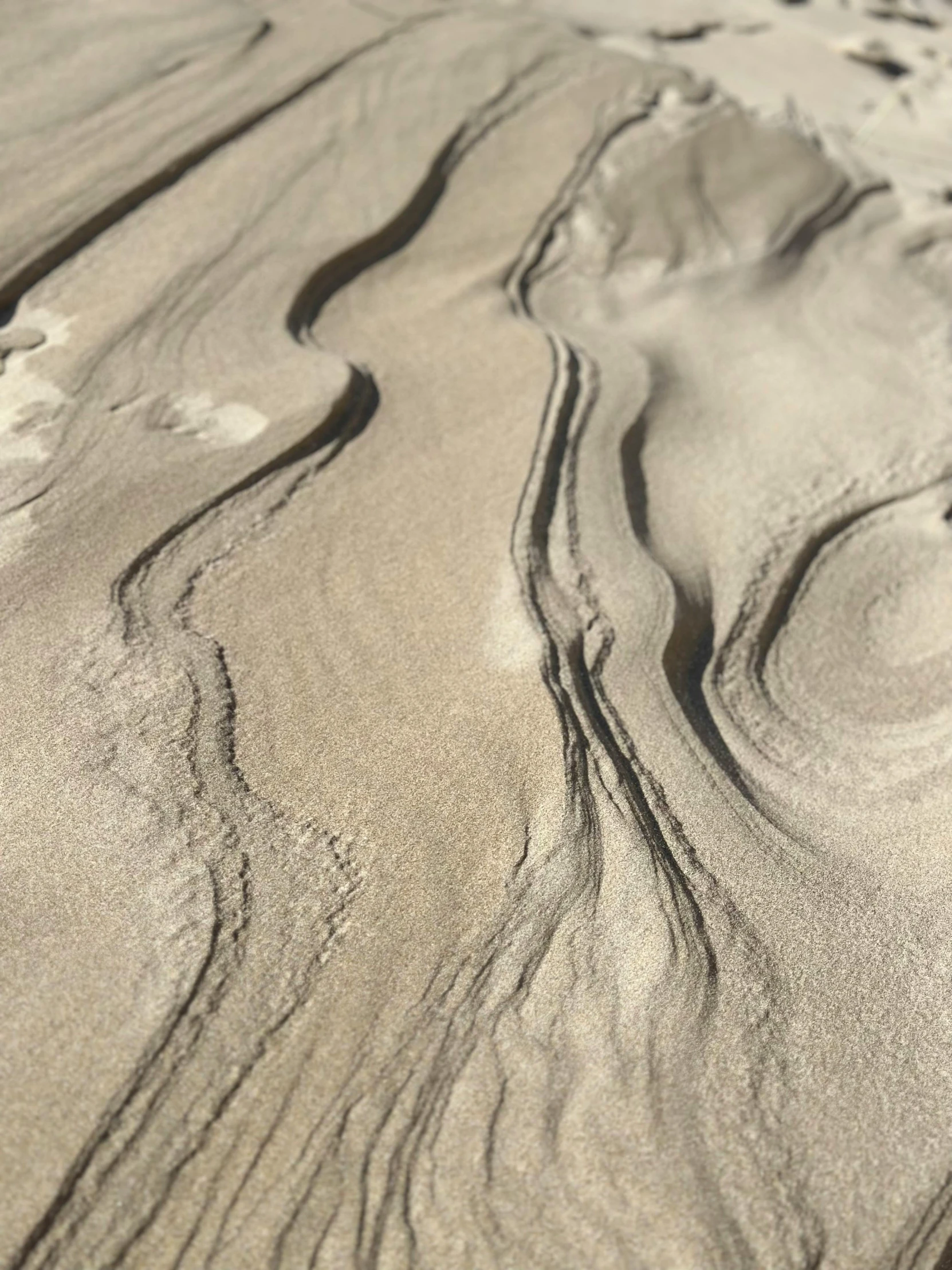 a picture of sand that looks like a desert