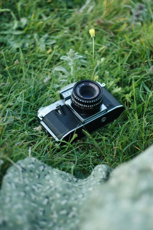 a camera sitting on top of grass in the woods