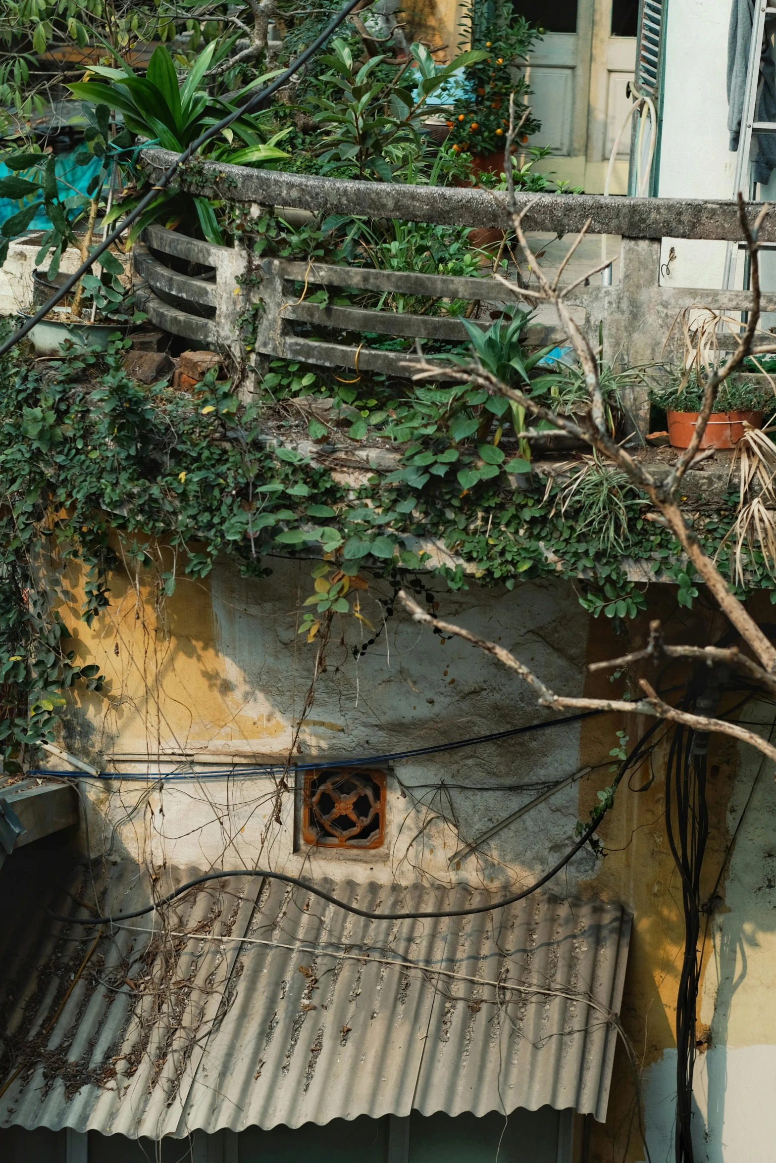 the corner of a house with vines and trees