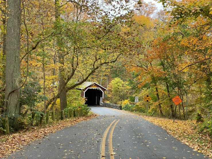 a black tunnel with trees and leaves all around