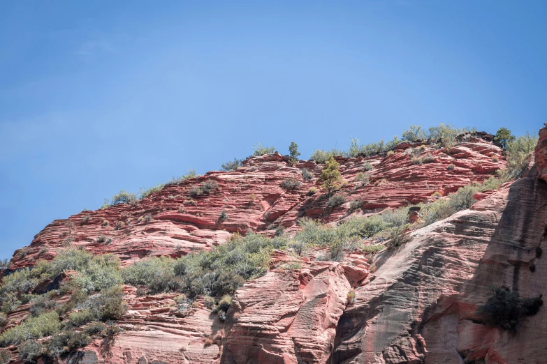 a rocky hillside that has many plants growing on top