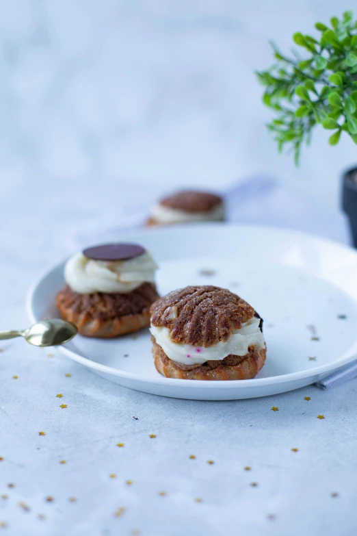 two biscuits are on a plate next to a plant