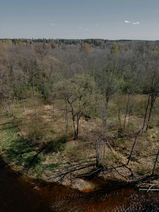 an aerial view of a swamp with trees