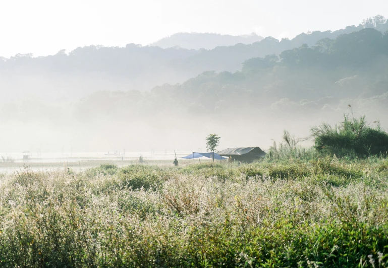 an image of fog that is in the air