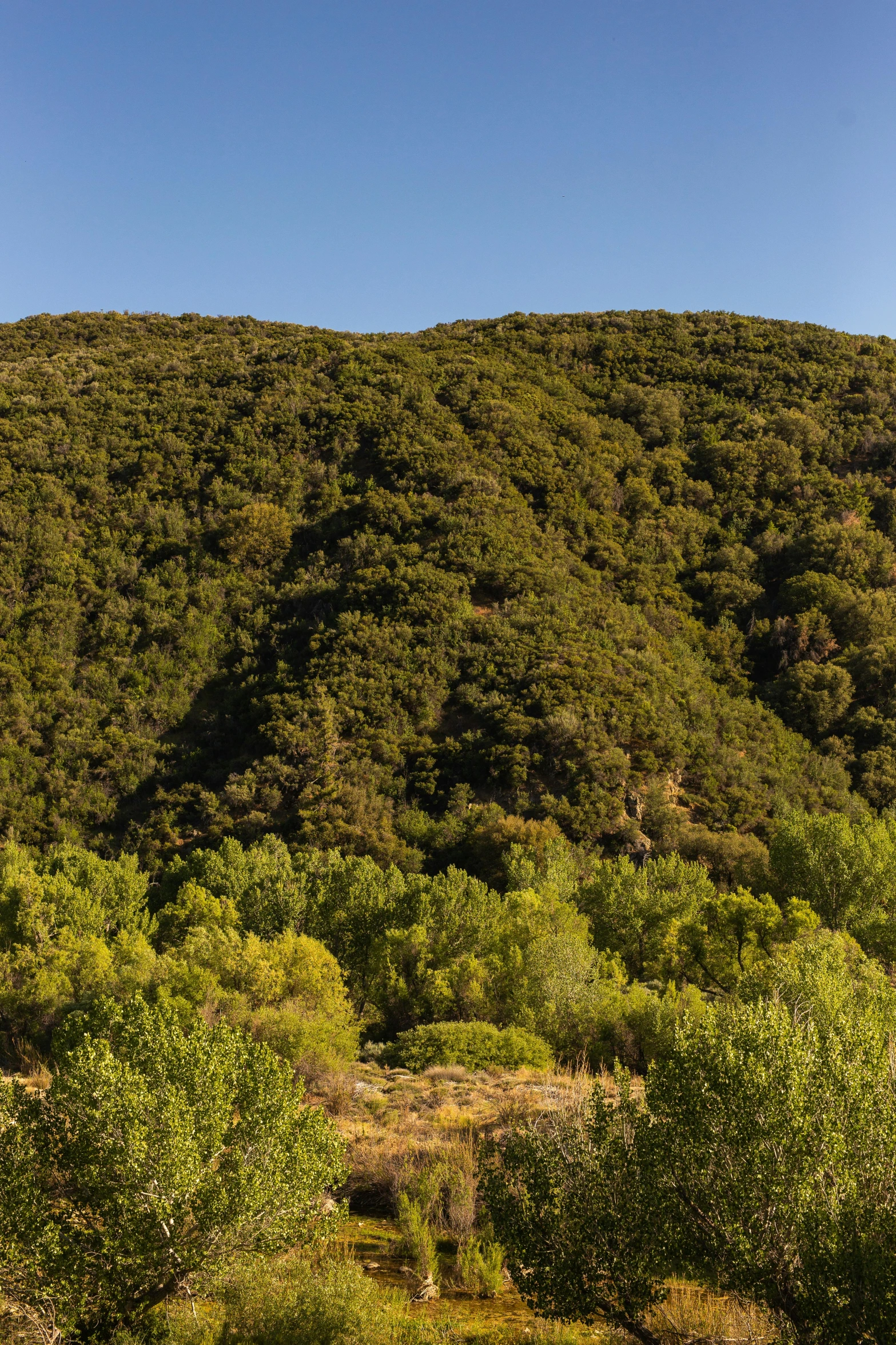 the view of some green mountains in the distance