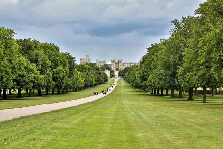 a path leading through a long green grass covered park