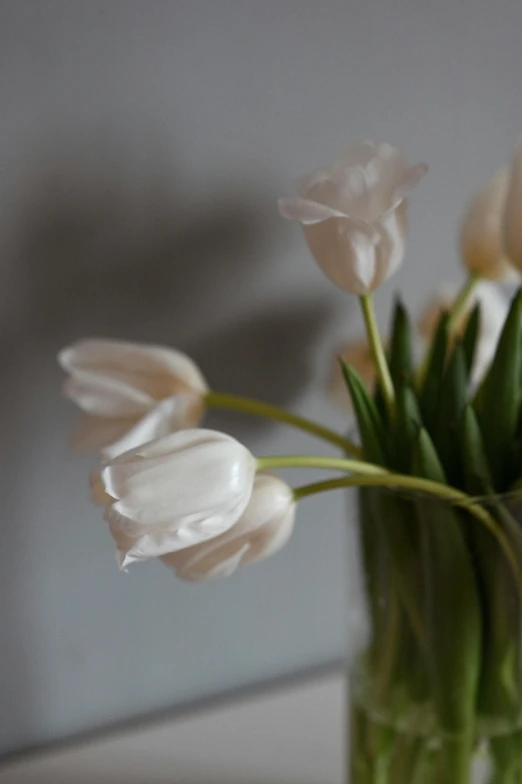 a small vase with several flowers in it