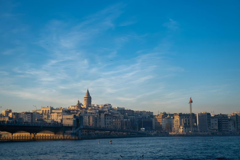 a city skyline, including a bridge and a harbor