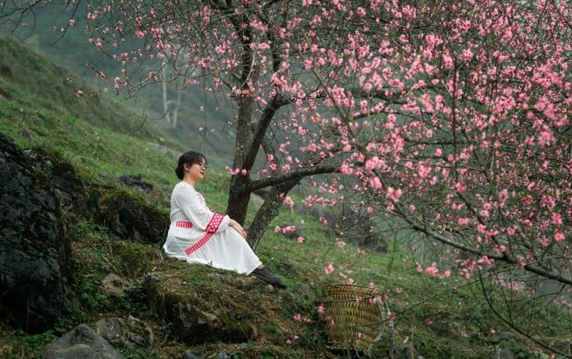 the woman in a white dress sits under a flowering tree