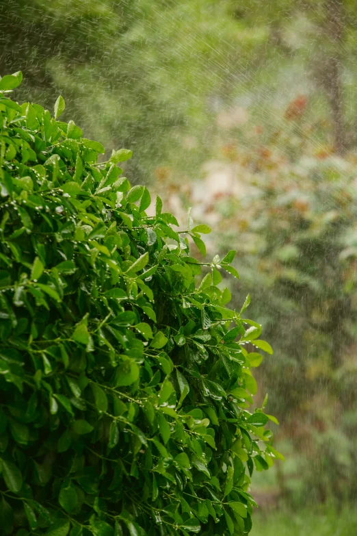 an umbrella sits in the rain on a green field