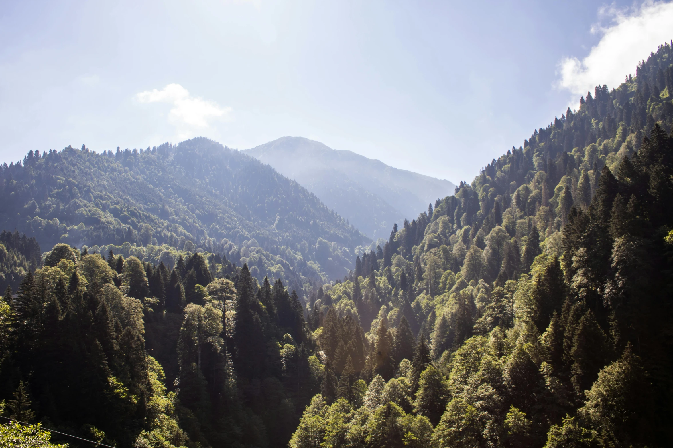 many trees on the mountains under a blue sky