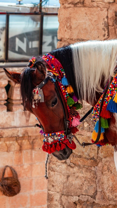 a horse with colorful decorations attached to it's back