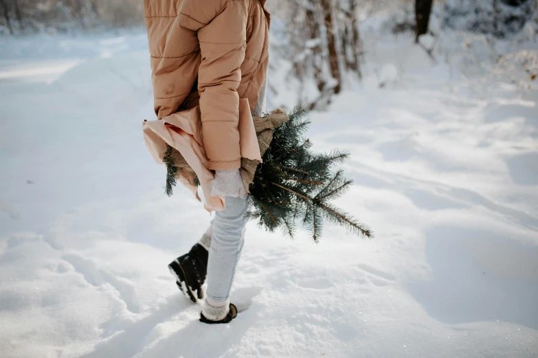  walking through snow carrying a freshly cut down tree