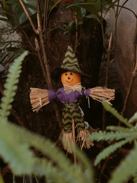 a scarecrow figure on a tree in the woods