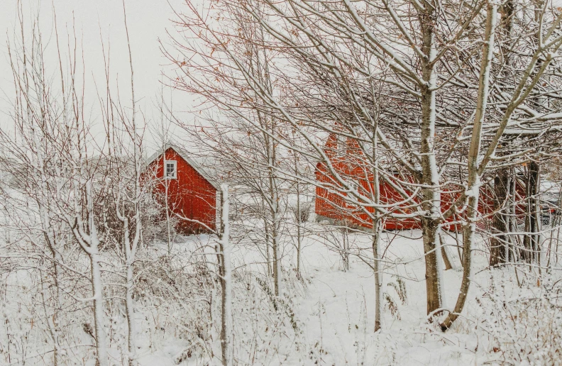 a red barn surrounded by trees in the snow