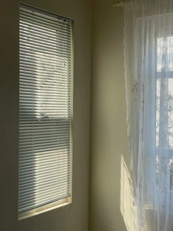 sunlight streams through a window with sheer curtains