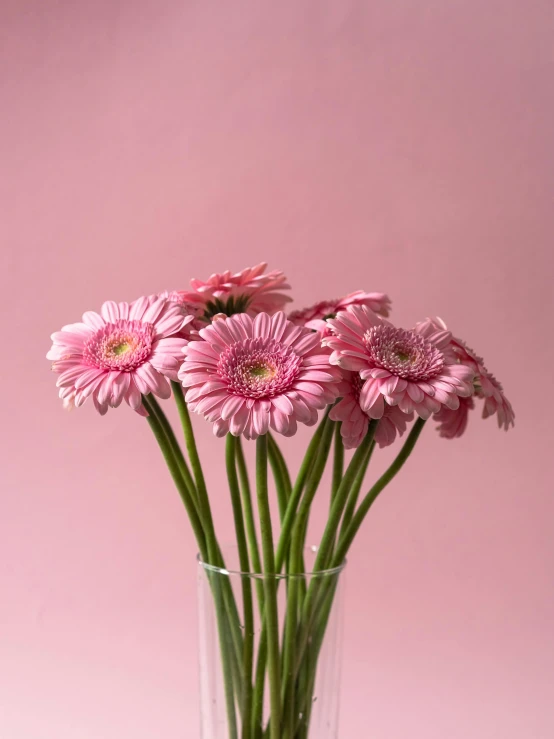 some pink flowers are in a clear glass vase