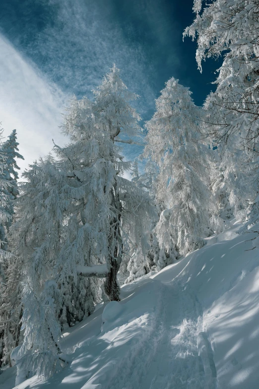 a person on a snowboard on the snow