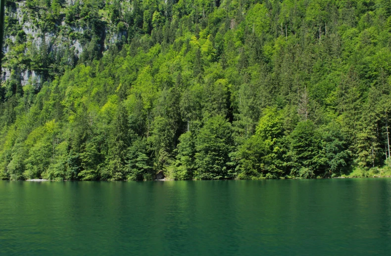 a boat floats down the calm waters near lush green trees