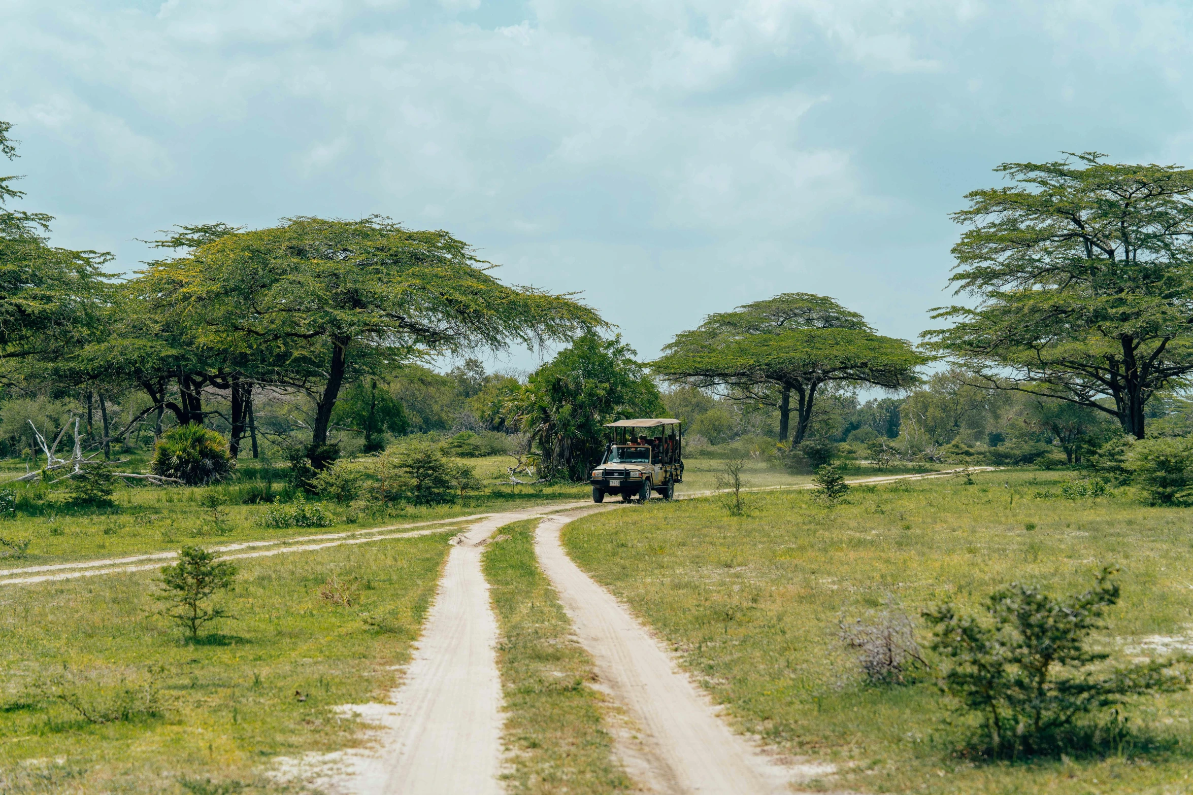 a safari jeep with the driver driving down a dirt road near trees