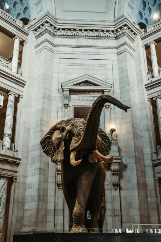 an elephant is on display in the lobby