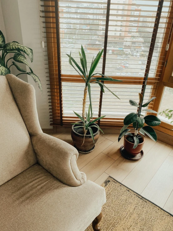 an up - cycled couch in front of a window filled with potted plants