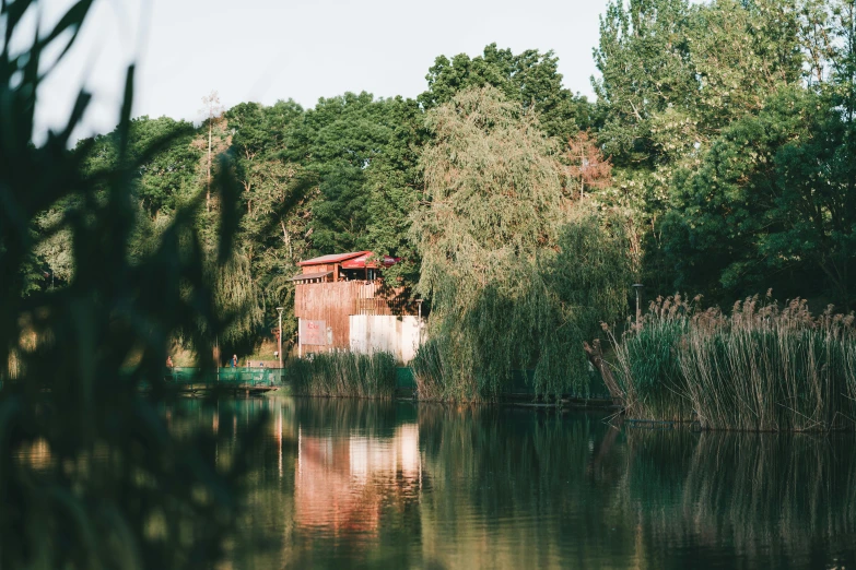 trees line the bank of a lake with a red cabin in the background