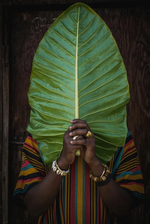 a woman covering her face with a large green leaf