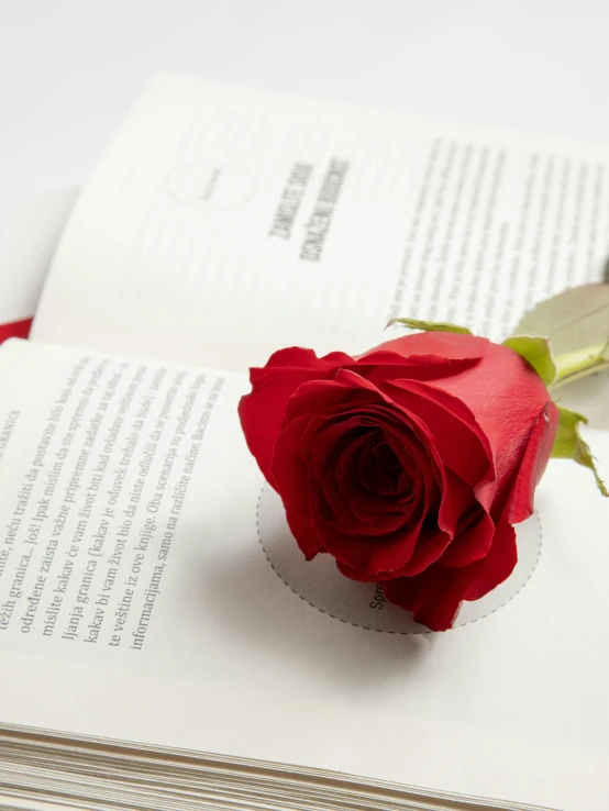 a rose laying on top of an open book