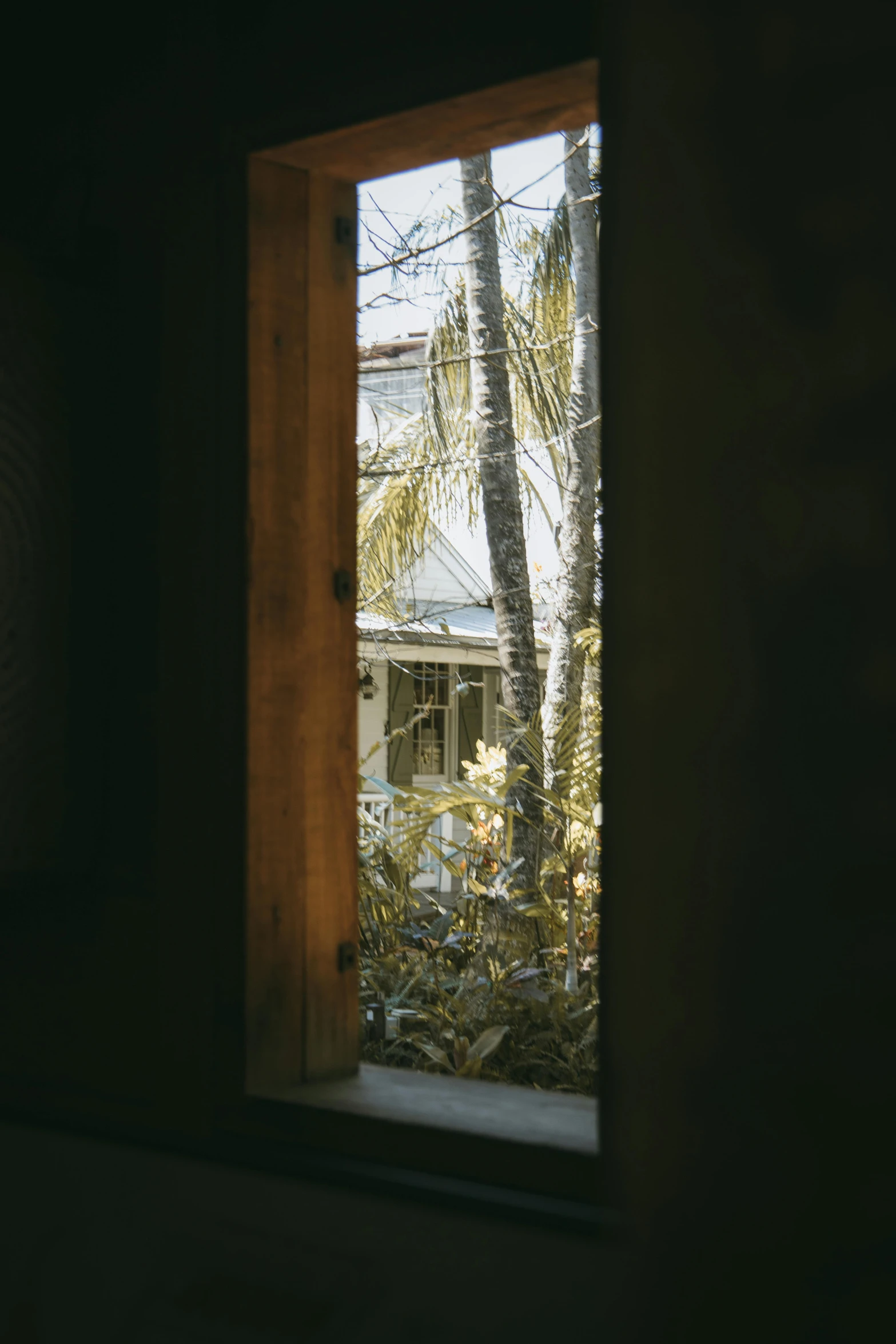 a view from inside a window at some palm trees and a house