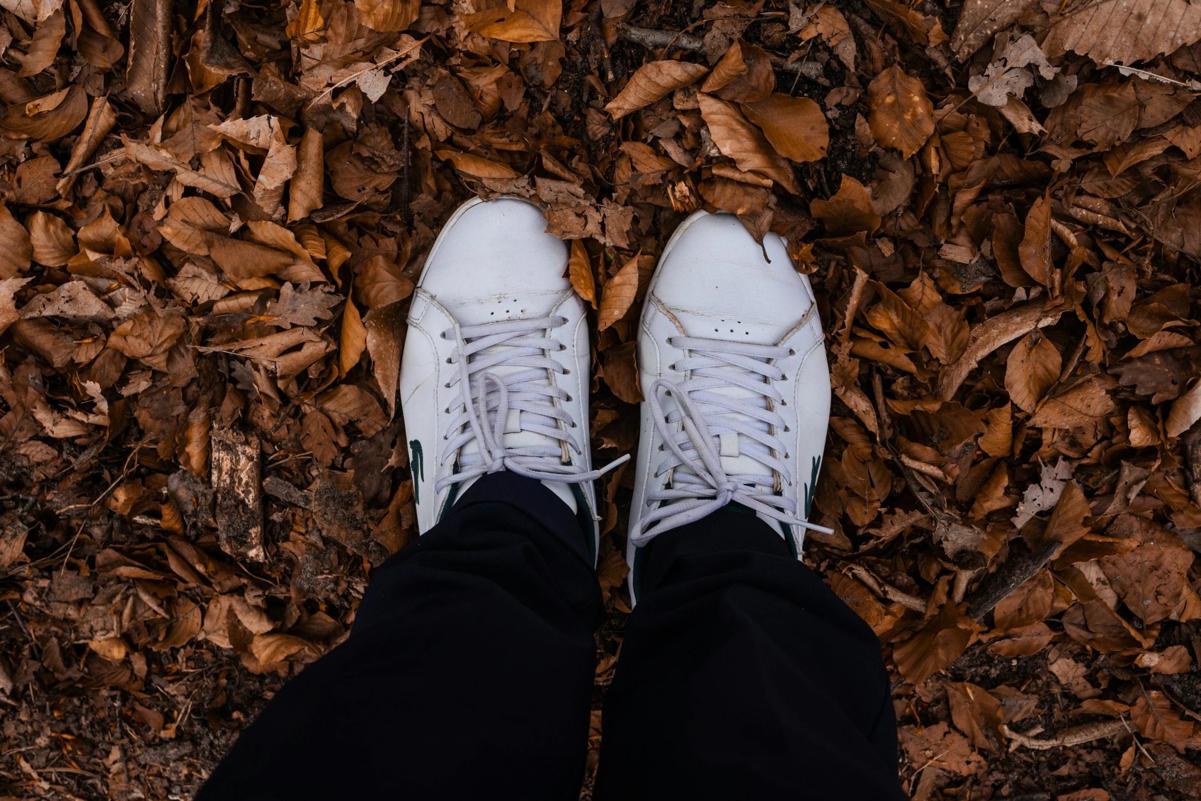 the shoes are sitting on the leaves and are white