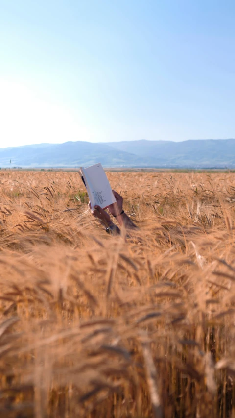 the person is reading a book in a large field