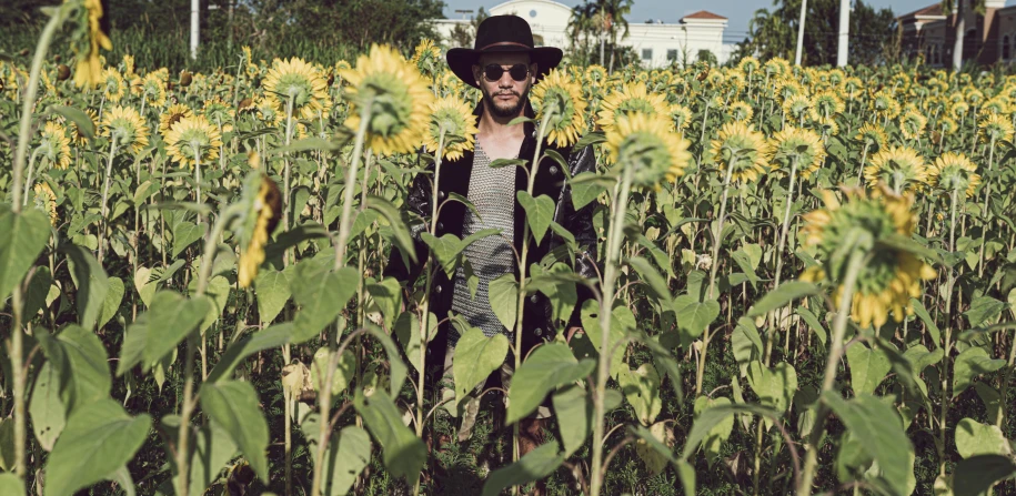 a man wearing a black hat and glasses in a field of sunflowers