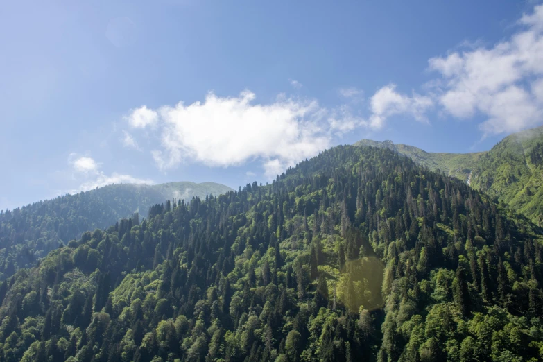 there is a mountain covered in lots of trees