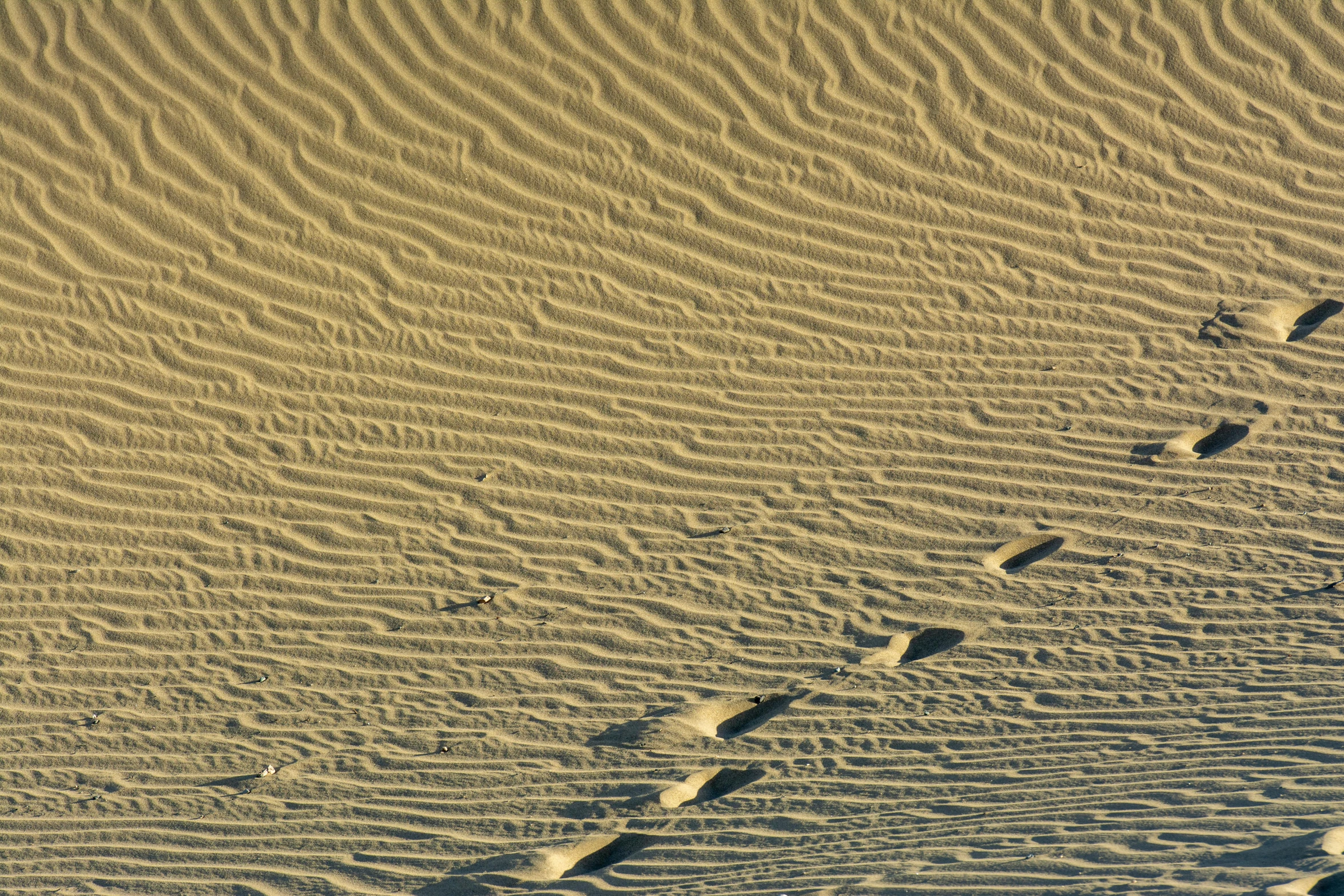 footprints in the sand in the middle of a desert