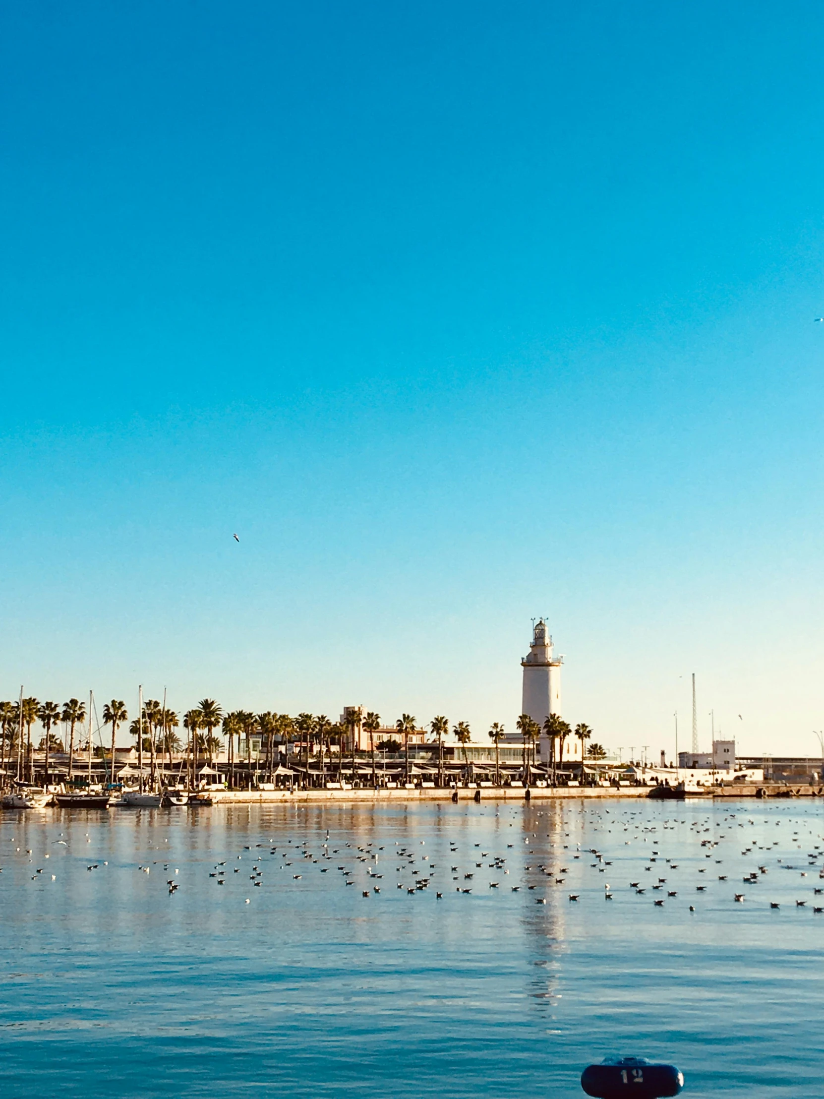 a harbor full of boats and a sky scr