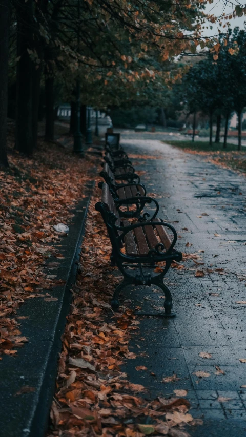 there are many benches on the walkway