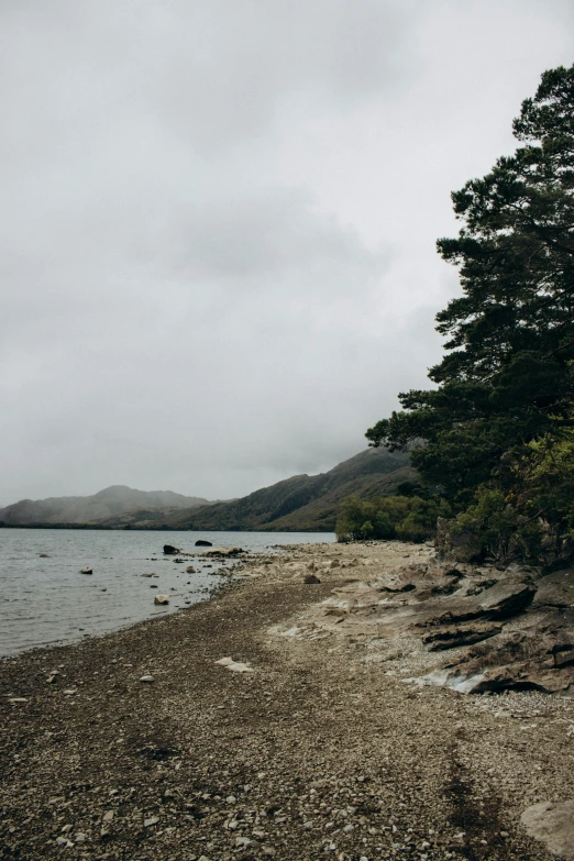 a pebble beach area in front of a lake