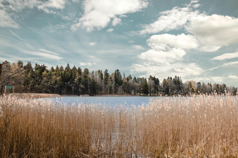 blue skies and some white clouds in a body of water