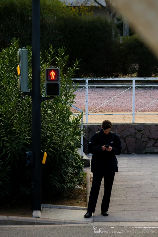 a man looking at his cellphone on a crosswalk