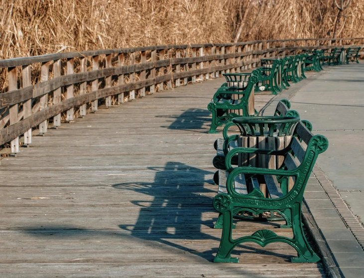 green benches on a boardwalk are seen in this po