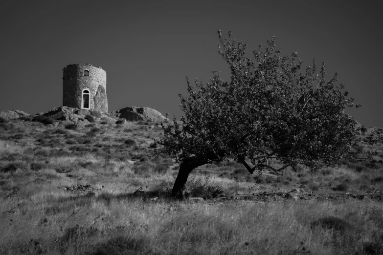 a tree on a hill next to a rock tower