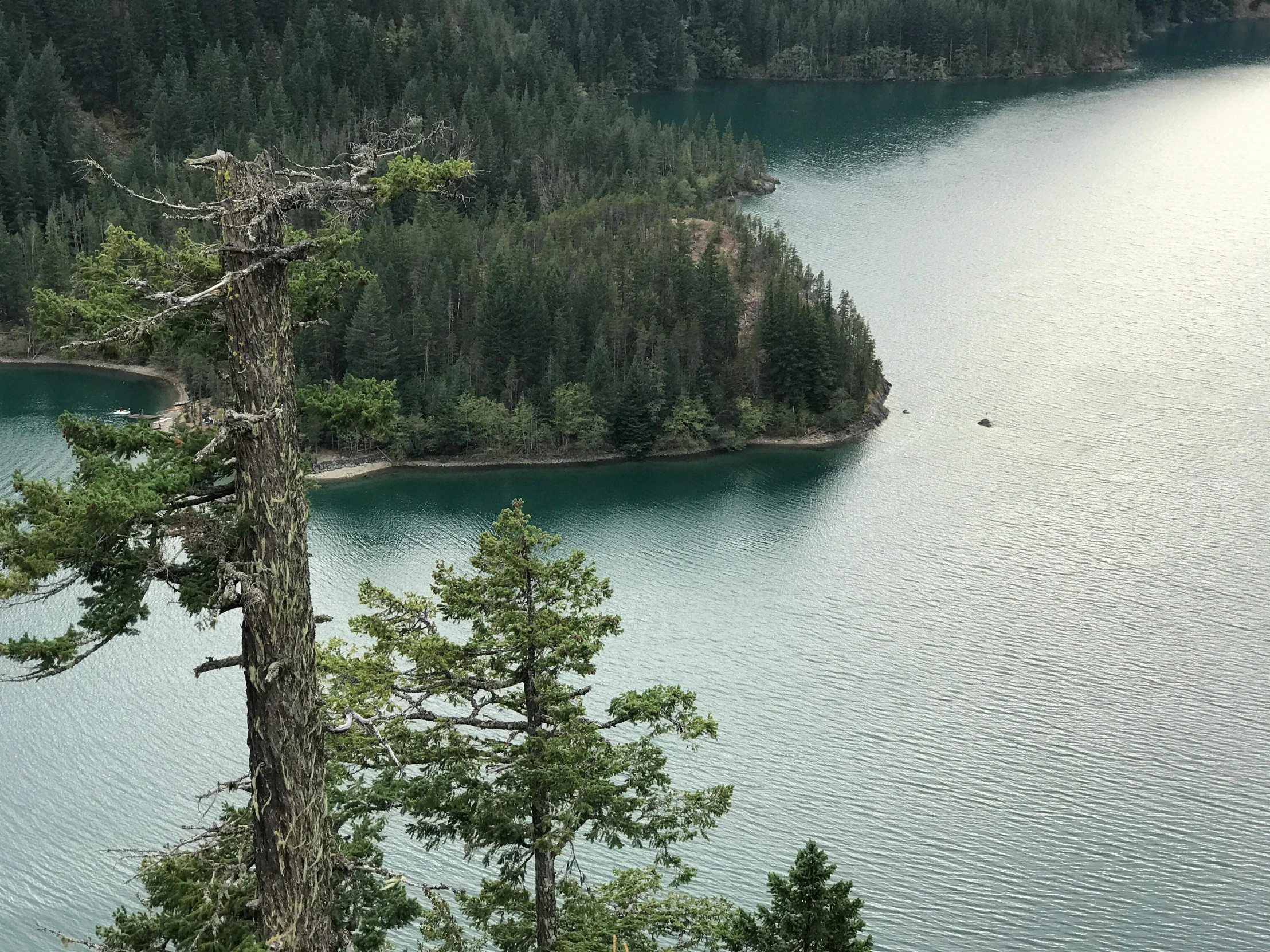 a boat is sitting on the water in a green forest